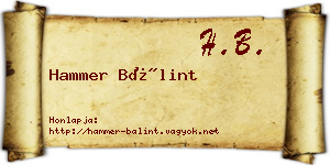 Hammer Bálint névjegykártya